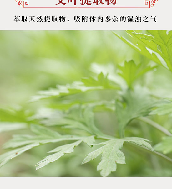 WST老北京足貼